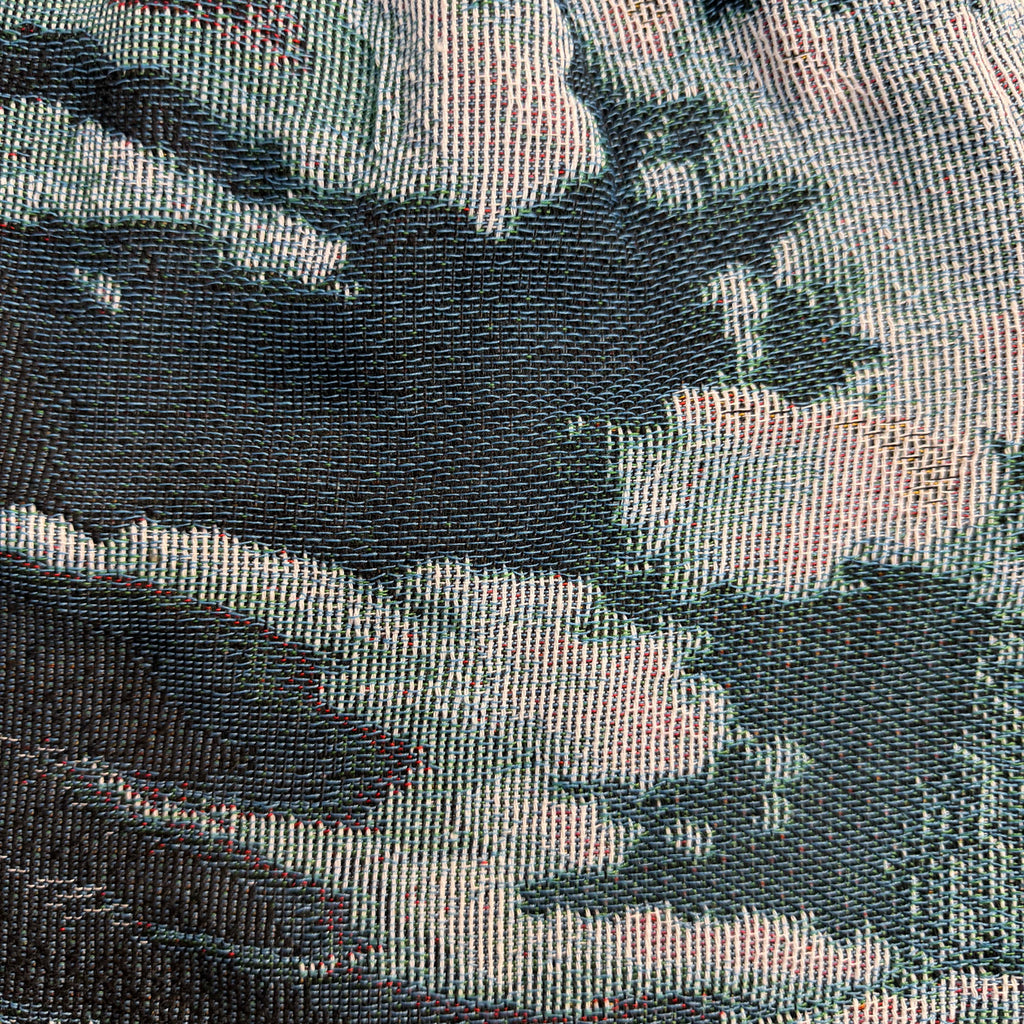 ABOVE TAPESTRY SHORTS