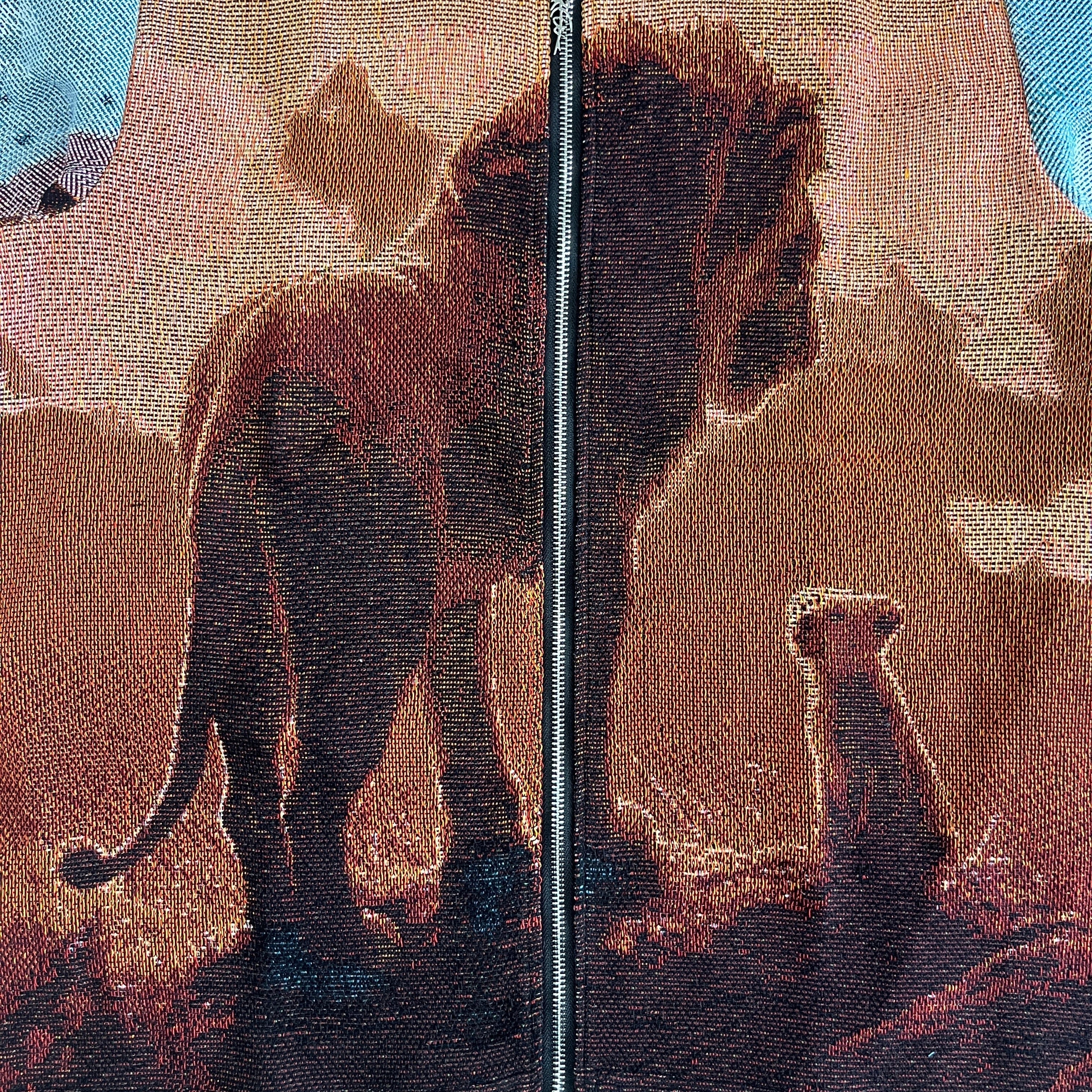 LION KING TAPESTRY JACKET