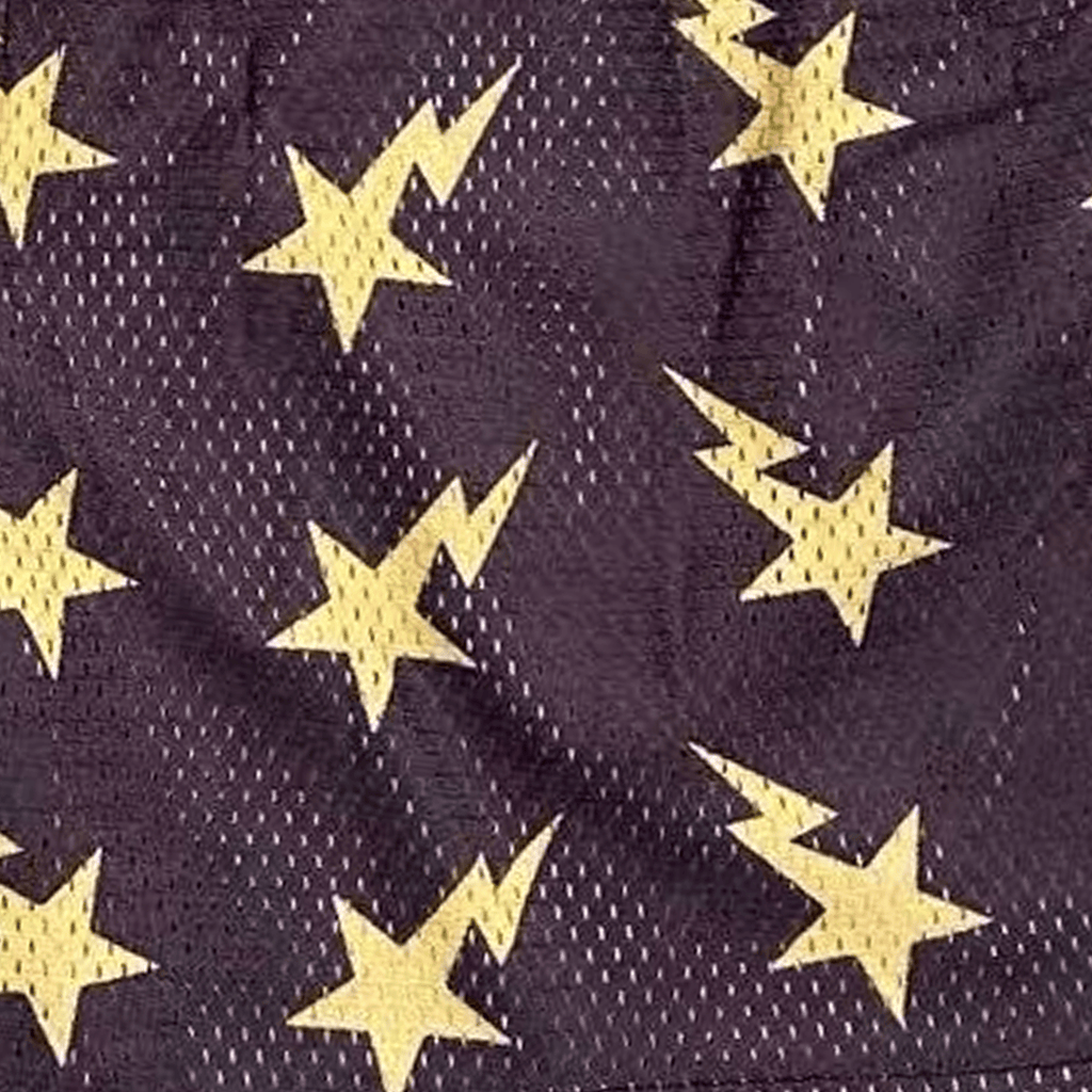 RDMCLOTHINGART tapestry hoodie BAPE STAR V4-8773