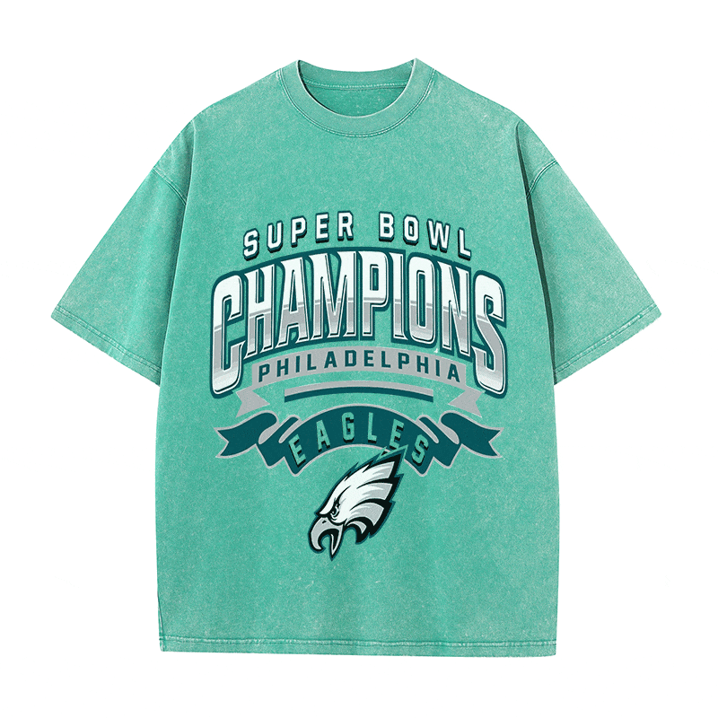 RDMCLOTHINGART tapestry hoodie EAGLES HEAVY WEIGHT COTTON TEE-8776