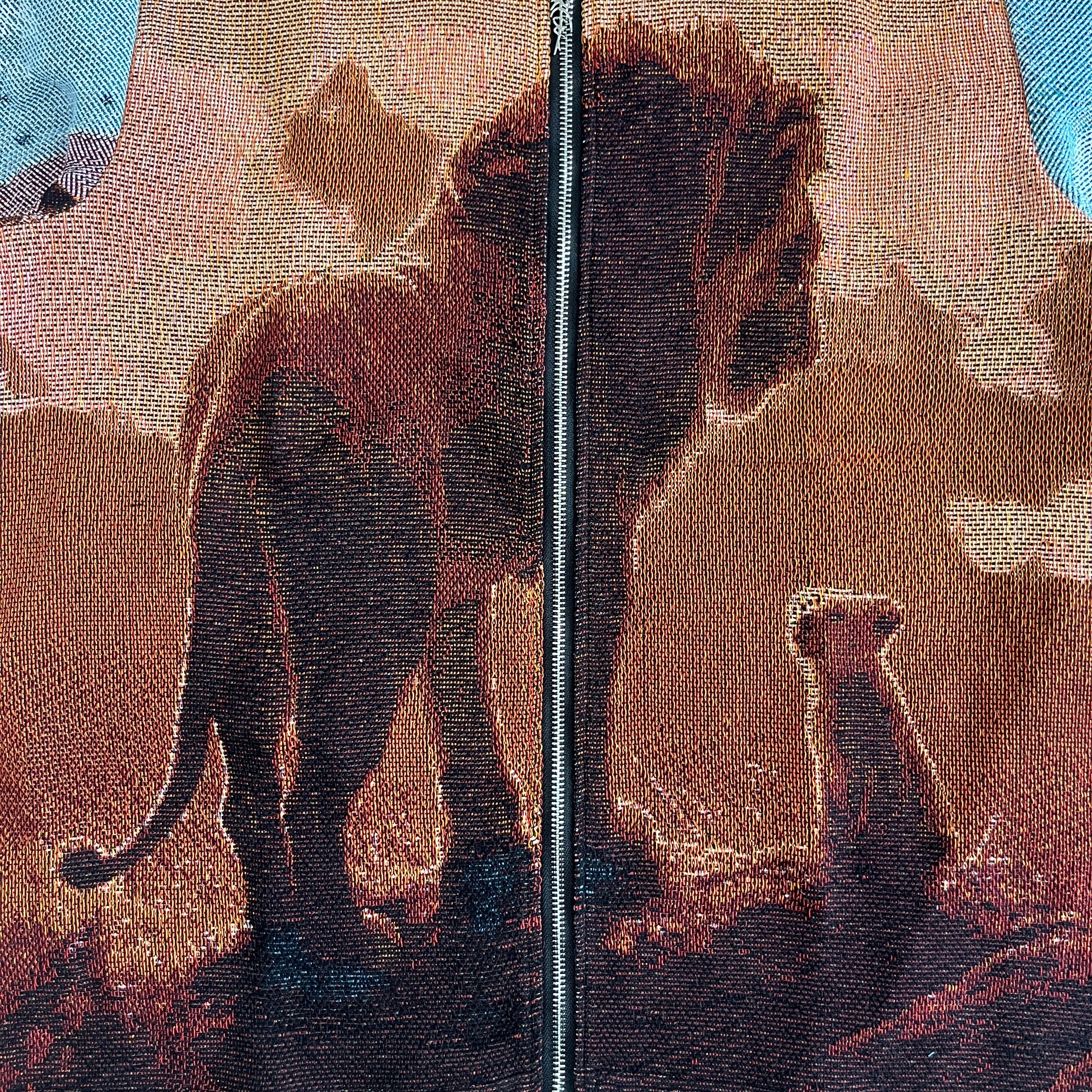 RDMCLOTHINGART tapestry hoodie LION KING TAPESTRY JACKET