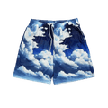 RDMCLOTHINGART tapestry hoodie SKY-8761
