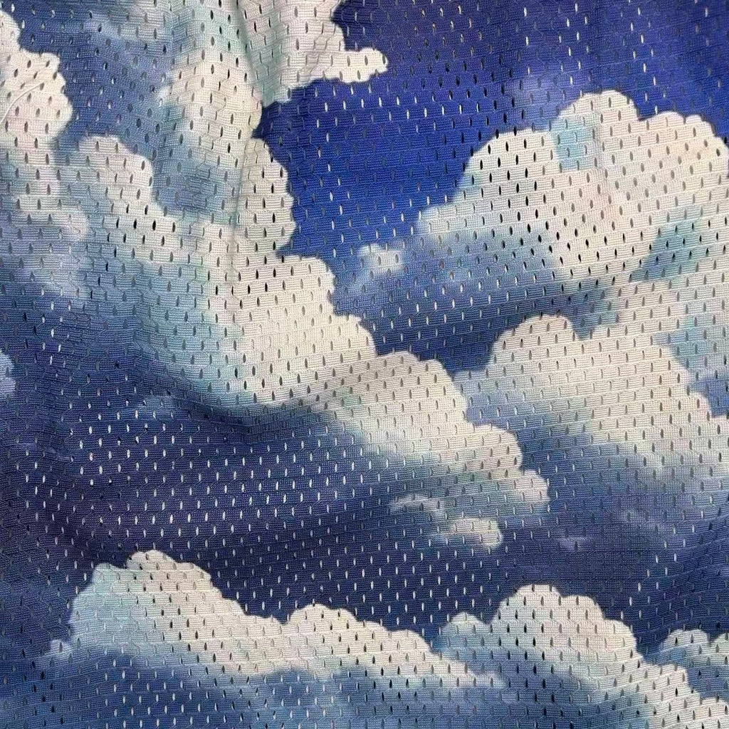 RDMCLOTHINGART tapestry hoodie SKY-8761
