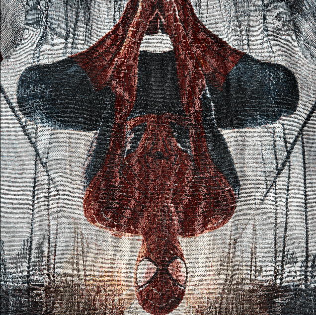 RDMCLOTHINGART tapestry hoodie SPIDER V3 TAPESTRY TEE-98320