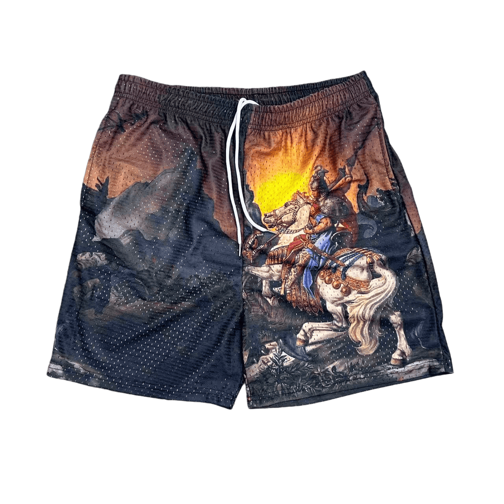 RDMCLOTHINGART tapestry hoodie ST GEORGE-8762