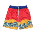 RDMCLOTHINGART tapestry hoodie SUNSET V2 MESH SHORTS-8811