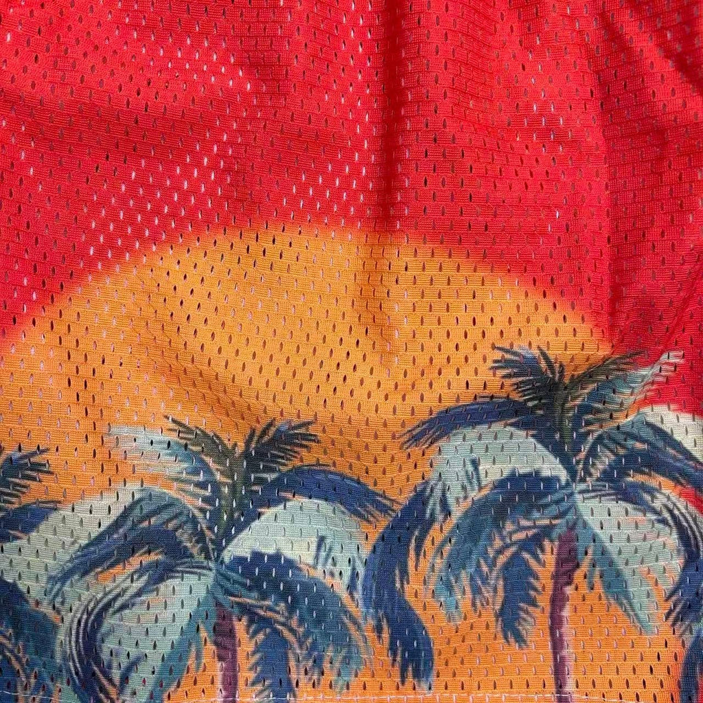 RDMCLOTHINGART tapestry hoodie SUNSET V3 MESH SHORTS-8810