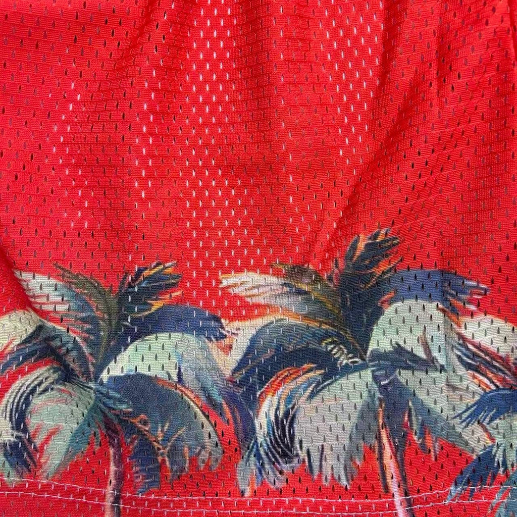 RDMCLOTHINGART tapestry hoodie SUNSET V3 MESH SHORTS-8810