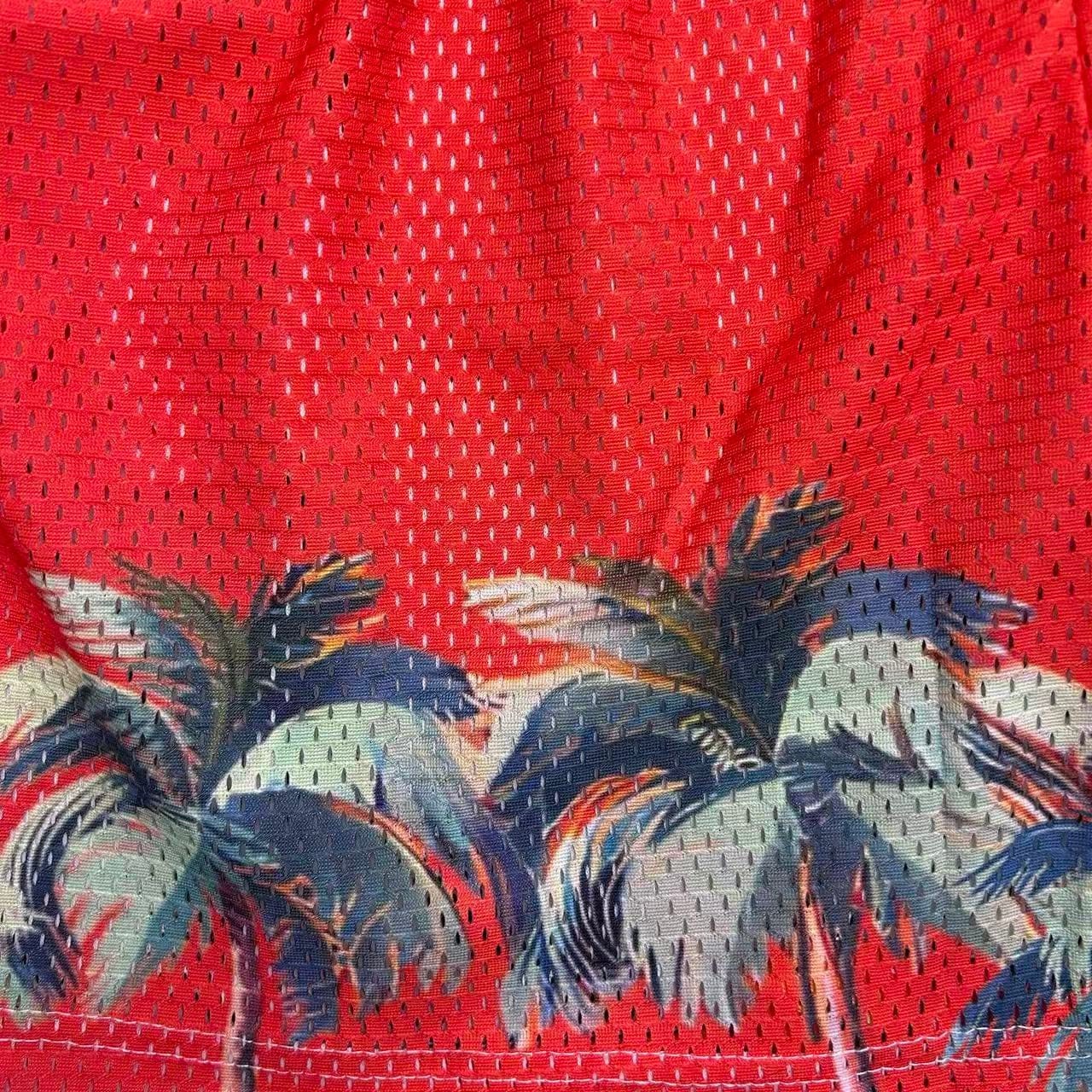 RDMCLOTHINGART tapestry hoodie SUNSET V3 MESH SHORTS-8810