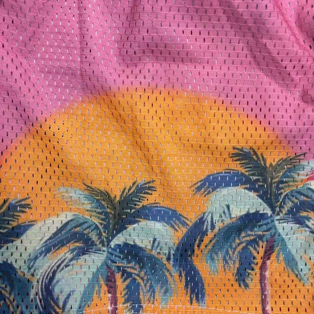 RDMCLOTHINGART tapestry hoodie SUNSET V4 MESH SHORTS-8809